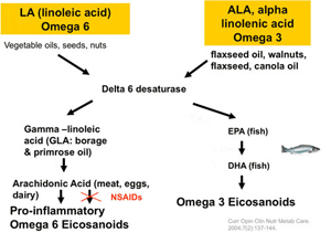 Omega 3 Chart
